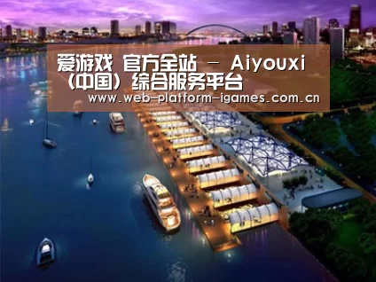 案例展示八