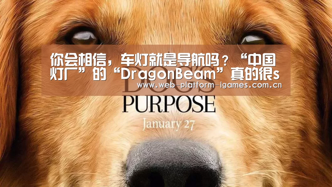爱游戏APP