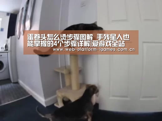 爱游戏下载