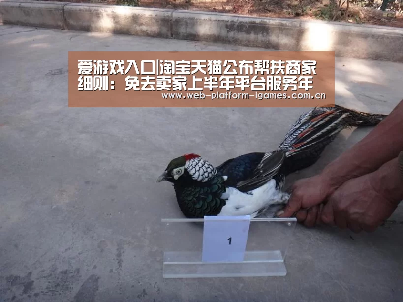 爱游戏入口